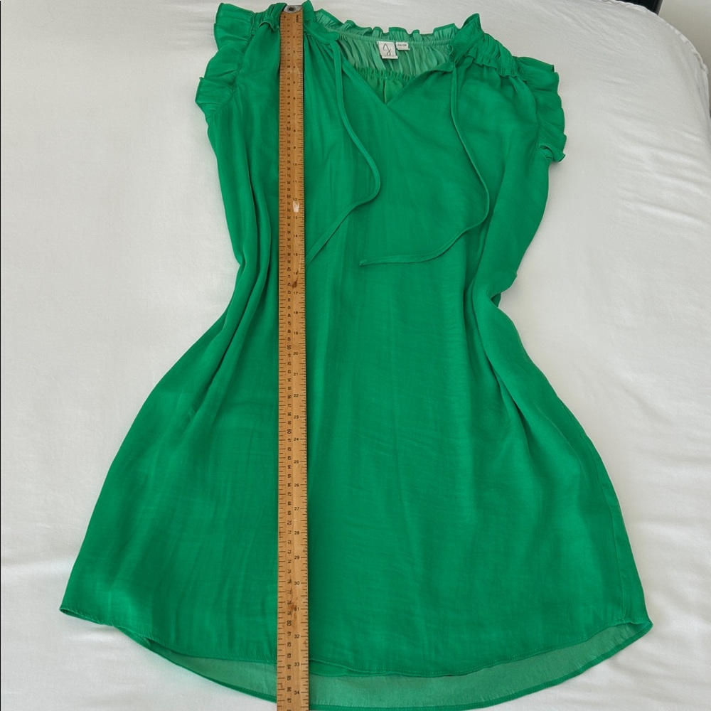 Joie Green Ruffled Mini Dress - Picture 8 of 12